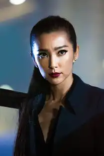 变形金刚4绝境重生李冰冰高清剧照壁纸