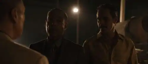 9.8分,绝命毒师完结八年后,这部美剧再次将它拍在了沙滩上
