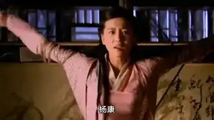 穆念慈比武招亲片段08版
