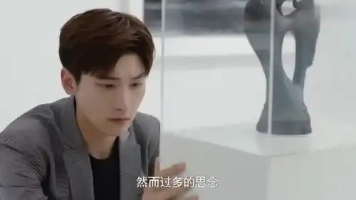 你是我的命中注定前妻陈嘉欣流产后失踪了三年,析翊终于在匈牙利找到她