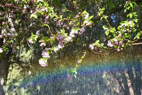 北冥大鱼的相册海棠花溪
