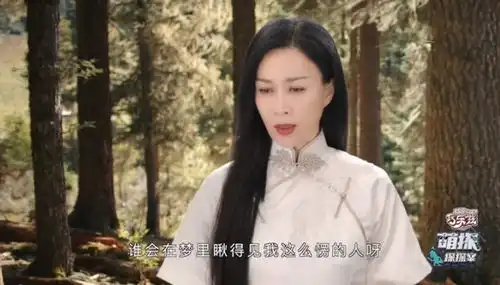 萌探探探案全员戏精,杨紫对话锦觅,景甜认证那英司藤东北分藤