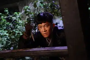 勇敢的心霍啸林剧照
