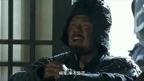 新三国蜀军打着郝昭的旗号攻破城门,王双中计遭埋伏,死在了魏延刀下