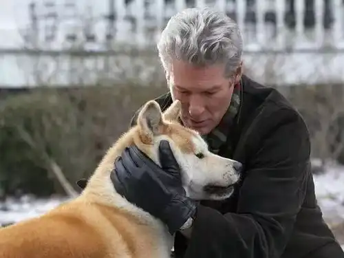 那些让你潸然泪下的电影台词,情不知所起一往而深