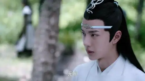 故事48十三年寻婴录蓝忘机是一位爱粘着母亲和同伴的人