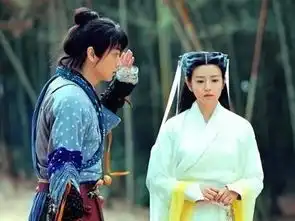 神雕侠侣2014年内地版陈晓陈妍希主演电视剧
