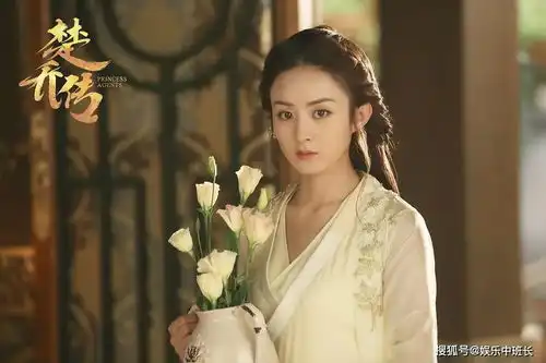 赵丽疑将再拍大女主剧,阿耐原著改编,现代版知否知否
