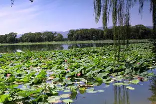 颐和园旧景新拍
