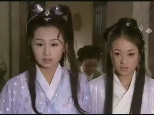 乌龙闯情关17年之后,主角们统统过气,龙套疯女人却红到发紫
