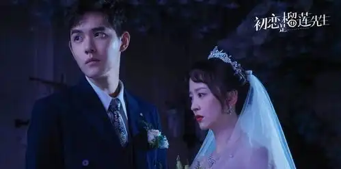 初恋是榴莲先生痴情总裁霸道追妻