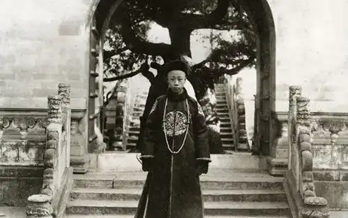 溥仪参观南京总统府,对老蒋的办公室进行点评,引得哄堂大笑
