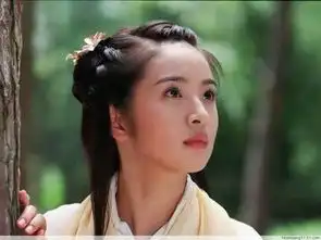 古装武侠电视剧胡歌版射雕英雄传剧照
