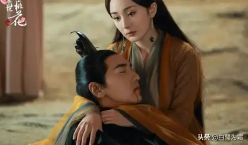 若白浅不是青丘的女君,她和夜华还有未来吗真相太明显
