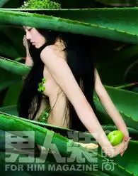 蛇夏娃与禁果的传说