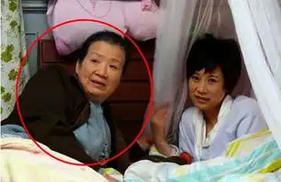文章出轨,李念变网红,扒扒蜗居10大主演之生存现状

