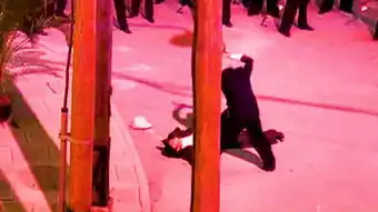 东京残酷警察
