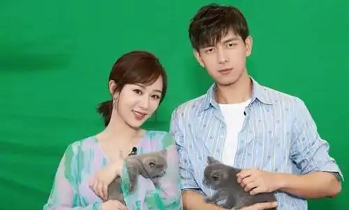 杨紫肖战新剧即将上映比亲爱的更甜网友这部剧好虐