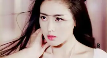 太子妃升职记
