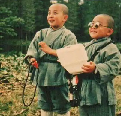 这么多的童星你最喜欢的是哪一位功夫释小龙还是一个隐形富豪
