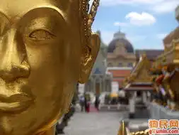 吉娃娃照片吉娃娃照片26801309823b709cbfdo.jpgloveshenbin