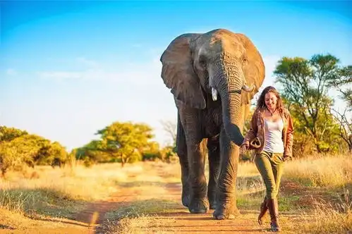 17年后,鸵鸟背上的小姑娘怎么样了
