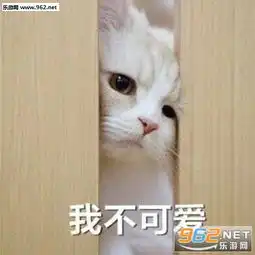 单身狗证书搞笑表情包官宣证书表情包下载乐游网游戏下载
