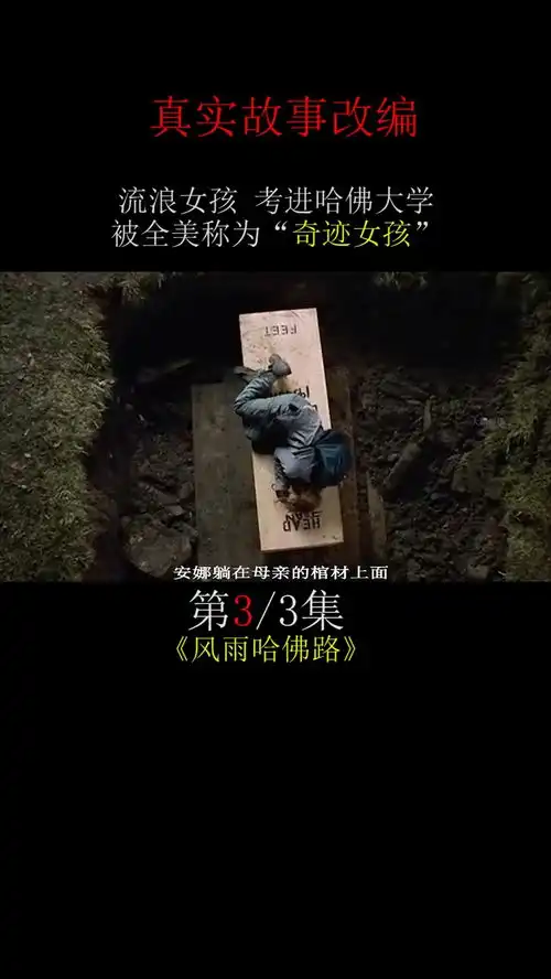 贫民窟里的流浪女孩,逆袭考入哈佛大学电影解说风雨哈佛路