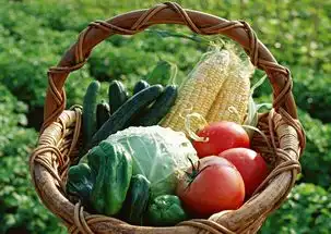 痛风危害大,教您几招降尿酸,减疼痛