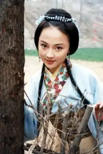 姚笛出演新版红楼梦
