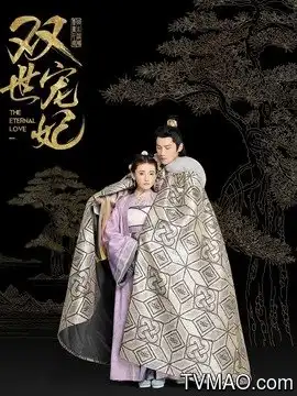 双世宠妃剧情介绍
