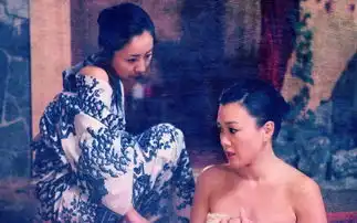 柳岩的教训告诉我们没事别往日本跑,这下出事了吧
