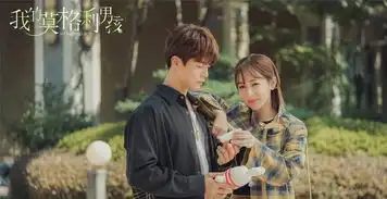 杨紫新剧我的莫格利男孩热度与播放量下滑,只因配角戏太多
