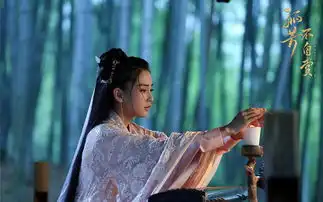 孤芳不自赏高颜值cp钟汉良baby又甜又虐
