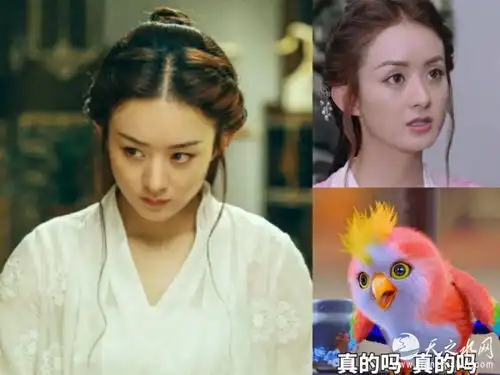 赵丽颖吕佳容黄晓明黄磊暑期档烂剧扎堆成重灾区
