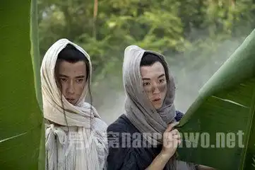 太子妃升职记杨严结局揭晓杨严张芃芃成吃货cp
