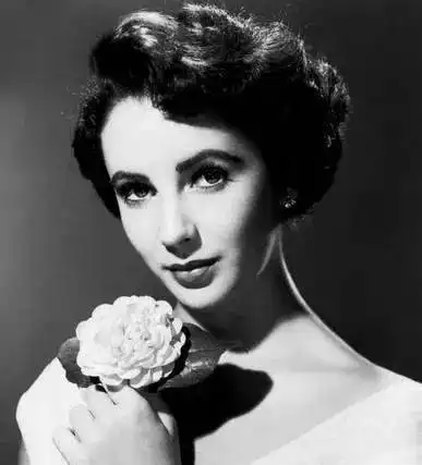 曼妙古典茶花仙境,维纳斯的美三