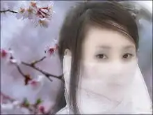 十大古装蒙面女星,唐嫣刘诗诗陈法蓉蒋欣,谁戴面纱时显得更美
