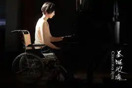 圣诞玫瑰曝人物海报上演法庭版罗生门
