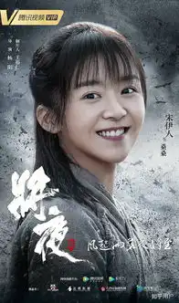 怎样评价宋伊人
