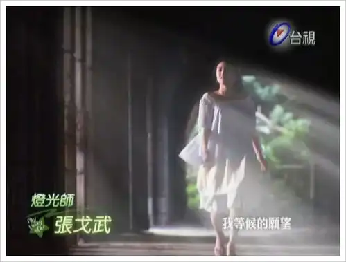 求放羊的星星里的刘荷娜图片
