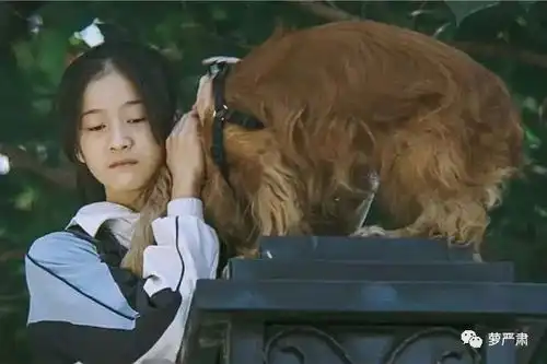 明星姐姐和粉丝相互对骂了