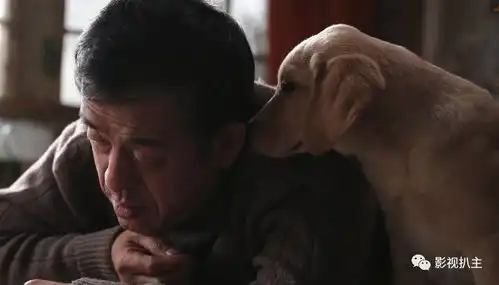 五分钟看完忠爱无言现实版人狗情未了