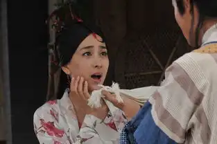 春光灿烂之欢乐元帅剧照
