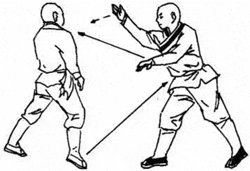传统武术实战腿法9式动态教学
