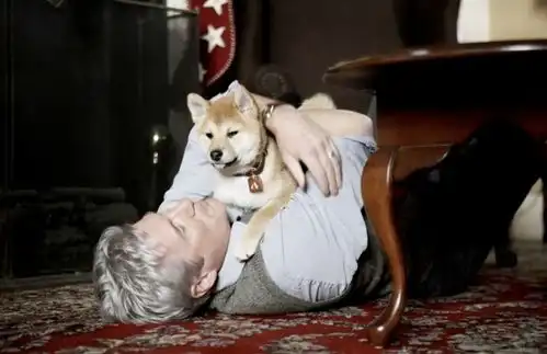 哲学和狗狗能扯上什么关系
