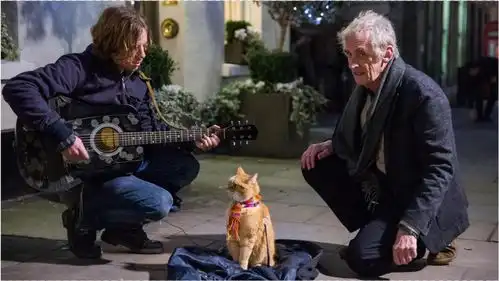 流浪汉捡到一只大橘喵,花光家当为它治病,却改变了自己的一生