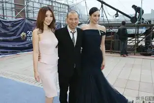 柳岩着透视裙亮相北京国际电影节