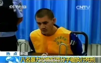 新疆8名暴力恐怖犯罪分子被执行死刑
