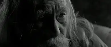 数量多类型杂七片同日上映谁将成爆款